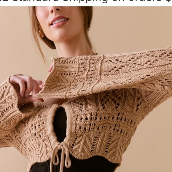 Audrey Park + Francesca's Tan Cropped Crocheted Keyhole Sweater - Picture 3 of 10